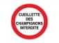 PANNEAU CUEILLETTE DES CHAMPIGNONS INTERDITE