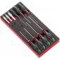 Module mousse tournevis Protwist Torx - MODM.AT6PB Facom