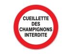 PANNEAU CUEILLETTE DES CHAMPIGNONS INTERDITE